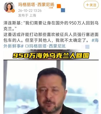 泽连斯基：约950万公民流落海外 回家之路充满挑战