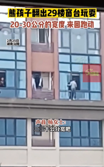 湖南3名小孩翻出29楼窗户玩耍