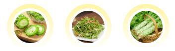 今年三伏40天!入伏后有6个健康坎儿 养生避坑指南