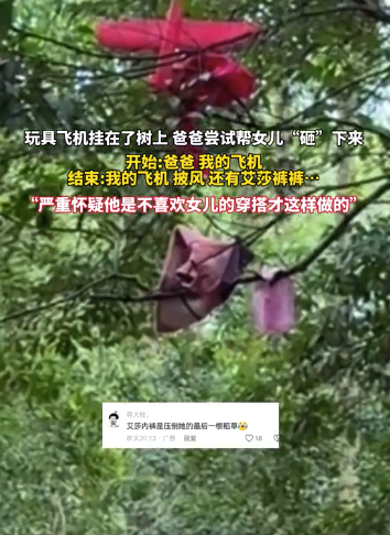 玩具飛機掛樹上爸爸用女兒衣服救援，沒想到…