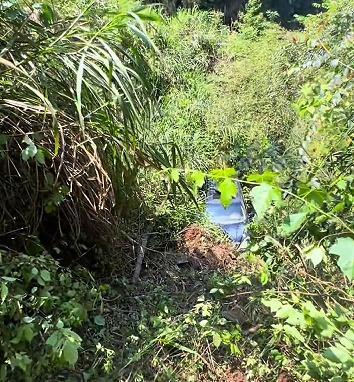 男子连人带车坠崖冷静自救毫发无伤 老司机的幸运与镇定