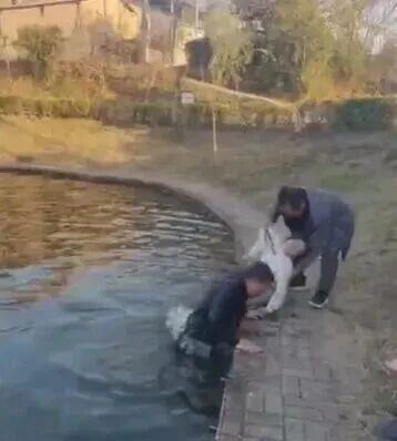 刷屏全网的黑衣男子找到了 英勇救人不留名