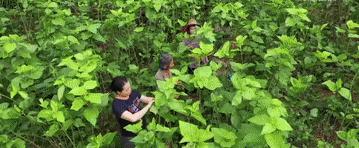 向着幸福｜潘晓梅：山村“女当家”芳华为百姓