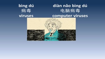 Internet 网络（3）