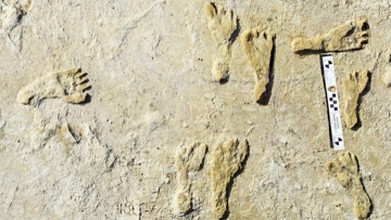 Oldest human footprints in North America found in New Mexico