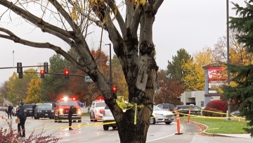 Police: 2 die, 4 injured in Idaho mall shooting