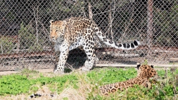 Animals enjoy sunlight at east China zoo