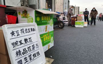 南方蔬菜大量进京，新发地菜价持续下降