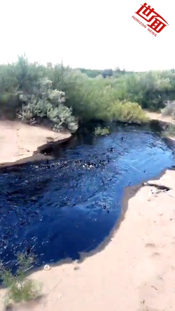 国际丨阿根廷发生10年来最严重石油泄漏事故：工厂淌出黑河