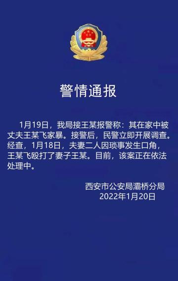 西安灞桥警方通报“王某飞家暴案”：正在依法处理