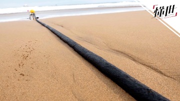 国际丨一条海底电缆为何会让汤加与外界隔绝？