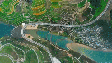 微视频 | “绿色长城”筑北疆