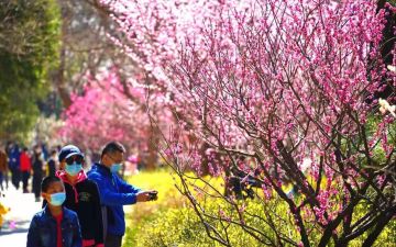 清明小长假，北京公园风景区接待游客496万人次