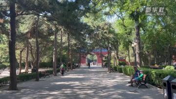 北京战疫直击｜北京公园限流开放了，走去逛逛