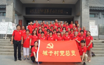 组织振兴 北京20万农村党员 筑基层坚实堡垒