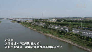 新华全媒+｜天津：十二条入渤海河流消劣一抓到底