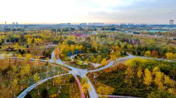 “绿美京华”：北京加速推进“国家森林城市”建设