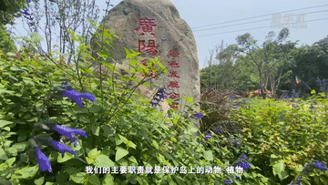 望长江｜重庆：广阳岛的美丽蝶变