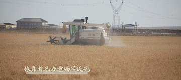 微视频｜建设有中国特色的农业强国