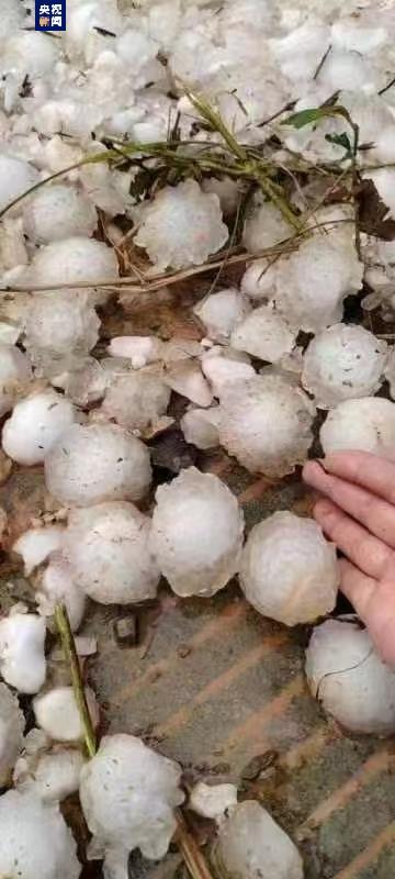 广西遭冰雹袭击 房屋和农作物受损 多地受灾 气象预警持续