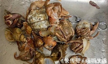 孕妇能吃的海鲜排行榜_全世界“最昂贵”的4种海鲜,吃过的全是土豪,中国只有一种上榜(2)