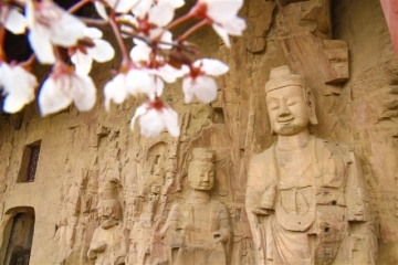 河南巩义：一处宋陵 一处石窟 中原小城石上写史诗