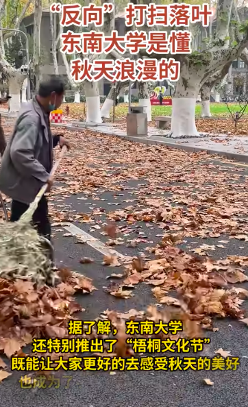 东南大学扫地大爷反向清扫梧桐落叶 
