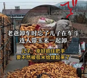 儿子卸苞米时险被父亲“活埋” 所幸该男子成功脱险