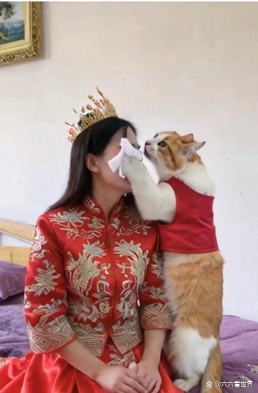 女孩回应打包婚宴剩菜喂养流浪猫 勇气与善意的传递