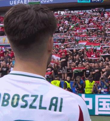 欧洲杯动人一幕：虽落败匈牙利全队站直抚胸高歌，球迷起立对唱太感人——赛场上的尊严与团结
