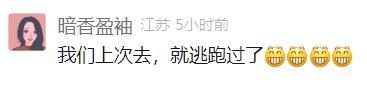 不想上班 3只卡皮巴拉“越獄”了 霸總帶頭逃跑