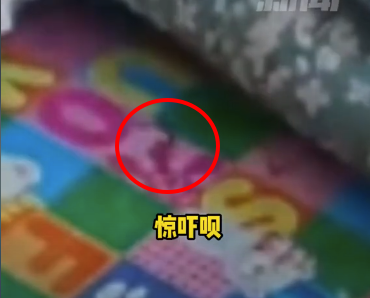 孩子屁股下惊现一条小绿蛇 父亲：在农村很常见的事，亲戚帮忙扔了