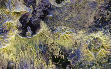 歐航局公布觀測森林碳儲量衛(wèi)星發(fā)回圖像