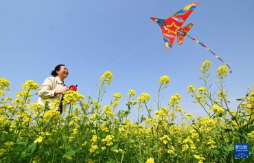 走出家门 享受美好春光