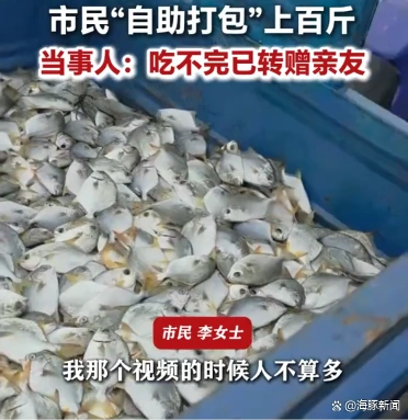 台风后女子海滩捡上百斤金鲳鱼 意外收获引发市民赶海热潮