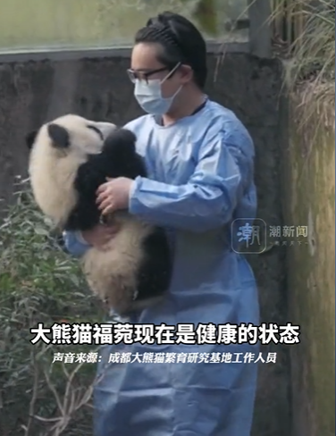 “福菀”被泼水后躲角落 网友：别逼我文明用语 