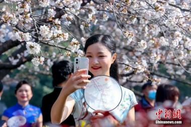 Bunga Sakura Mekar Warnai Universiti Wuhan