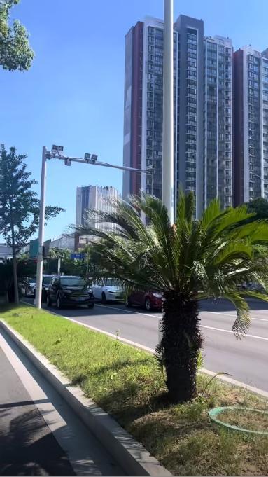車輛“避曬式”等紅燈 交警：違法 避暑停車引爭議