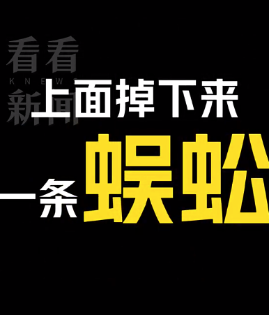 “护工”被我打死了？老伯报警打死护工吓坏接警员