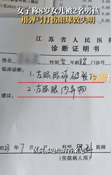 女童被弹弓打致失明后续 派出所：已立案处理