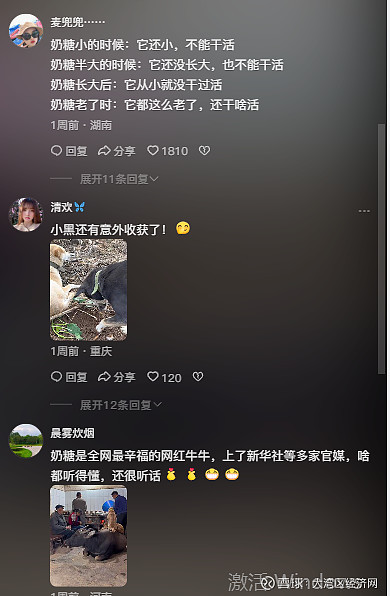 云南人玩互联网就像呼吸一样简单：抖音的首都依旧是云南