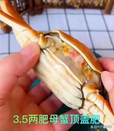 5元1只?大闸蟹“崩盘”了吗 价格分化显现