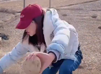 女孩准备展示土豆时脚滑摔下山坡笑翻网友