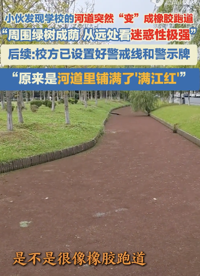 校方回应校园河道远看像塑胶跑道 已设警戒线和警示牌