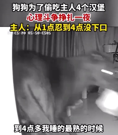 大S方回应将以法律维权