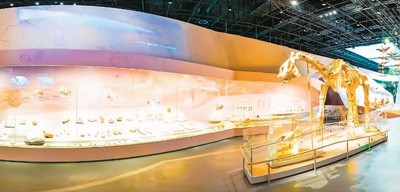　　武汉自然博物馆“大河沧桑”展区，右侧为巨犀骨骼装架标本。