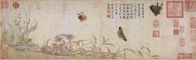 当人与动物和谐共生 祥瑞自然来了