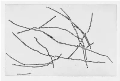 他证明了，奥斯维辛之后写诗是“可能的”