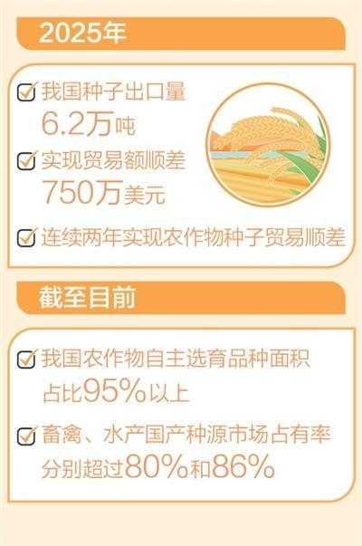 "中国粮"主要用上了"中国种"