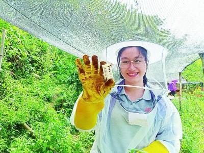 新华网评：这一年，见证奉献的力量
